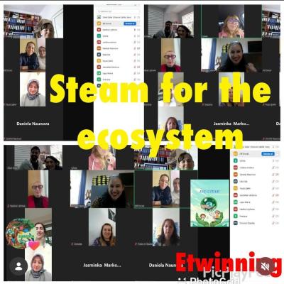 Steam-for-the-ecosystem-1